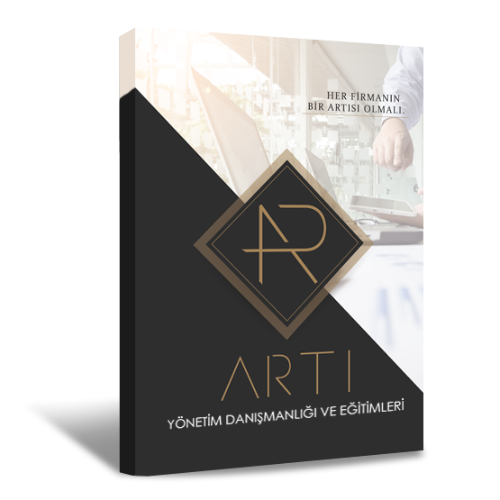 Yönetim sistemleri, Yönetim danışmanlığı, artı yönetim danışmanlığı, artı danışmanlık